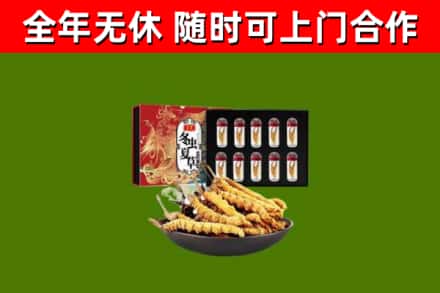 沙河口区回收冬虫夏草价格